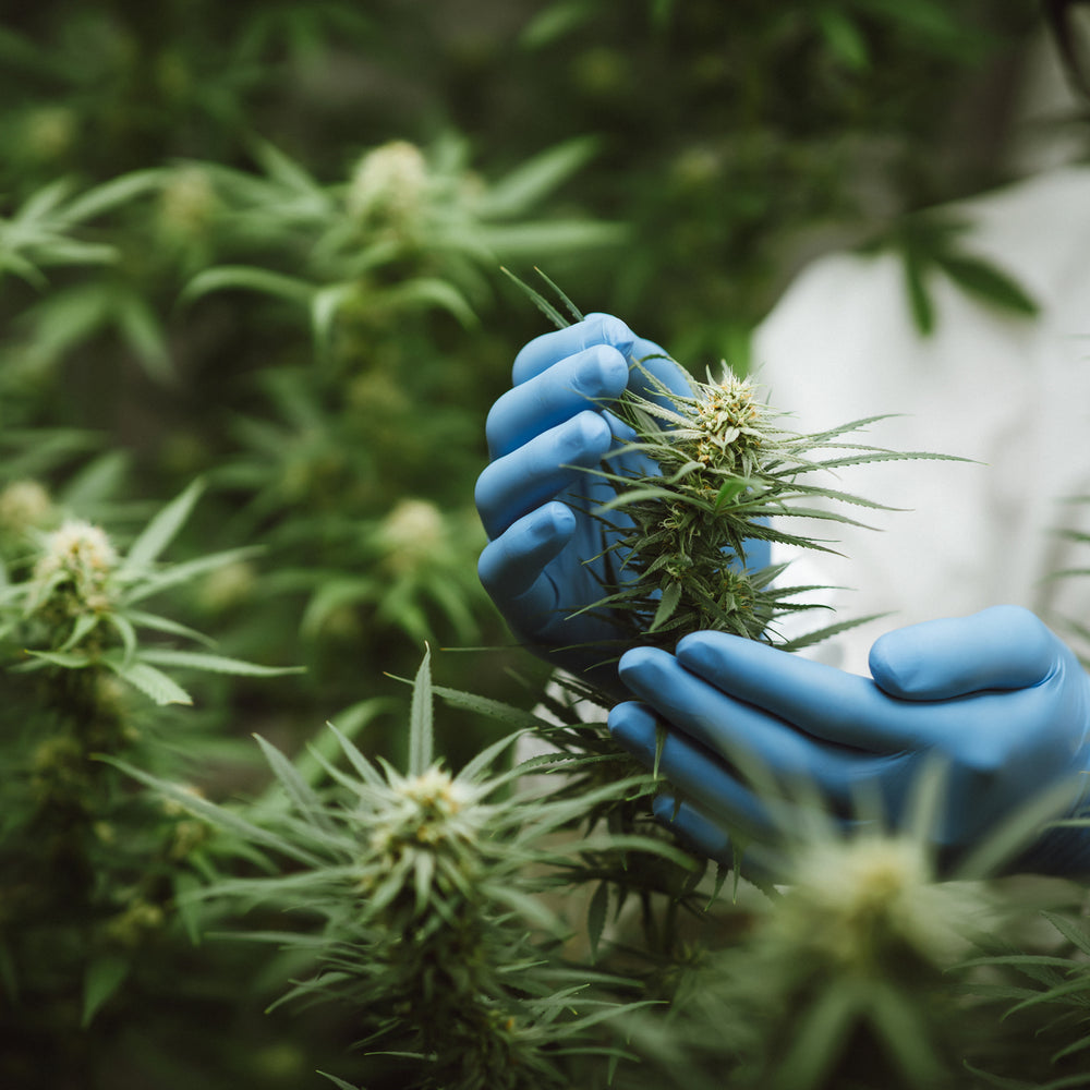 FULL-SPECTRUM: THE SUM GREATER THAN THE PARTS