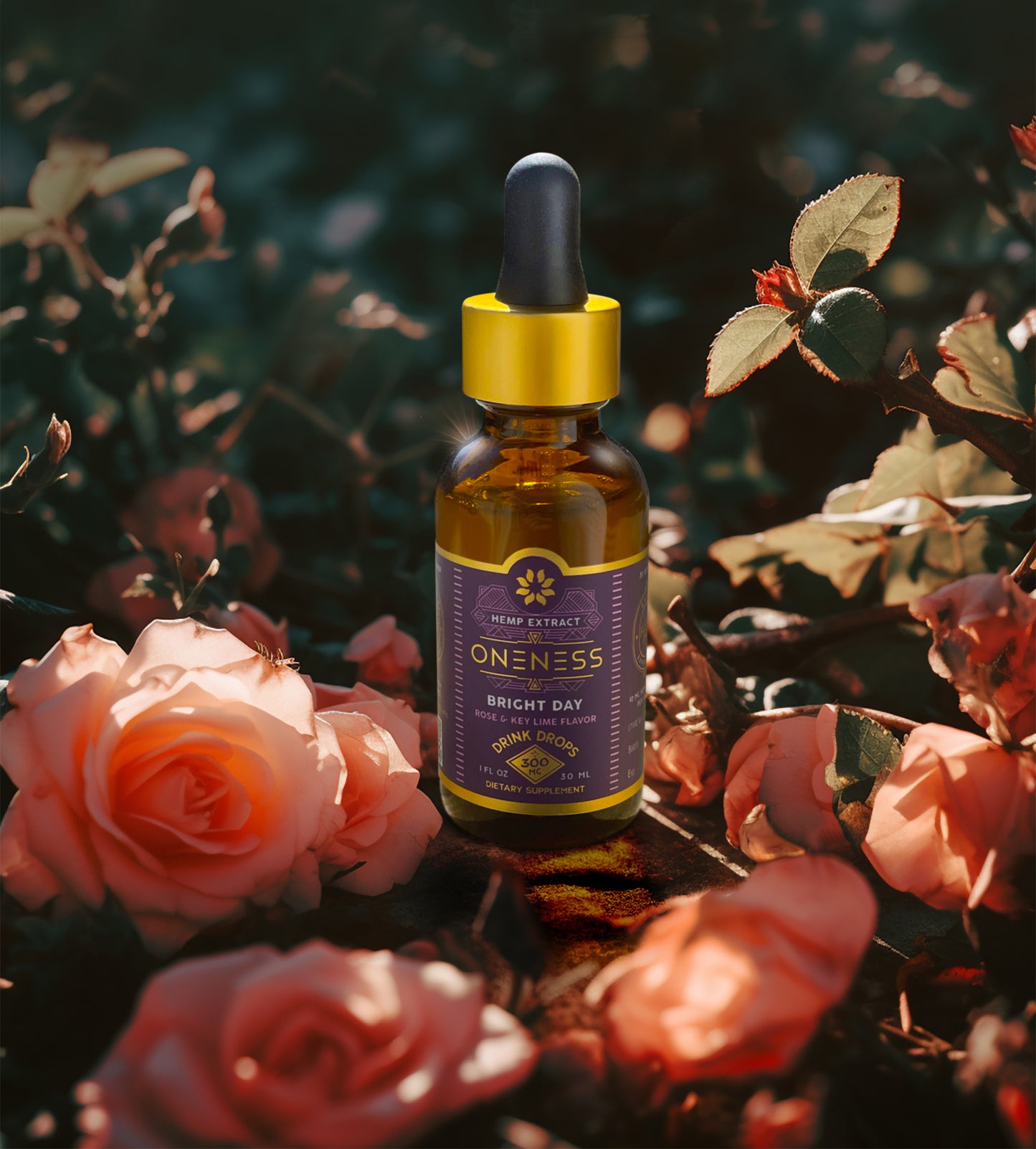 
                  
                    BRIGHT DAY | WATER SOLUBLE HEMP CBD
                  
                