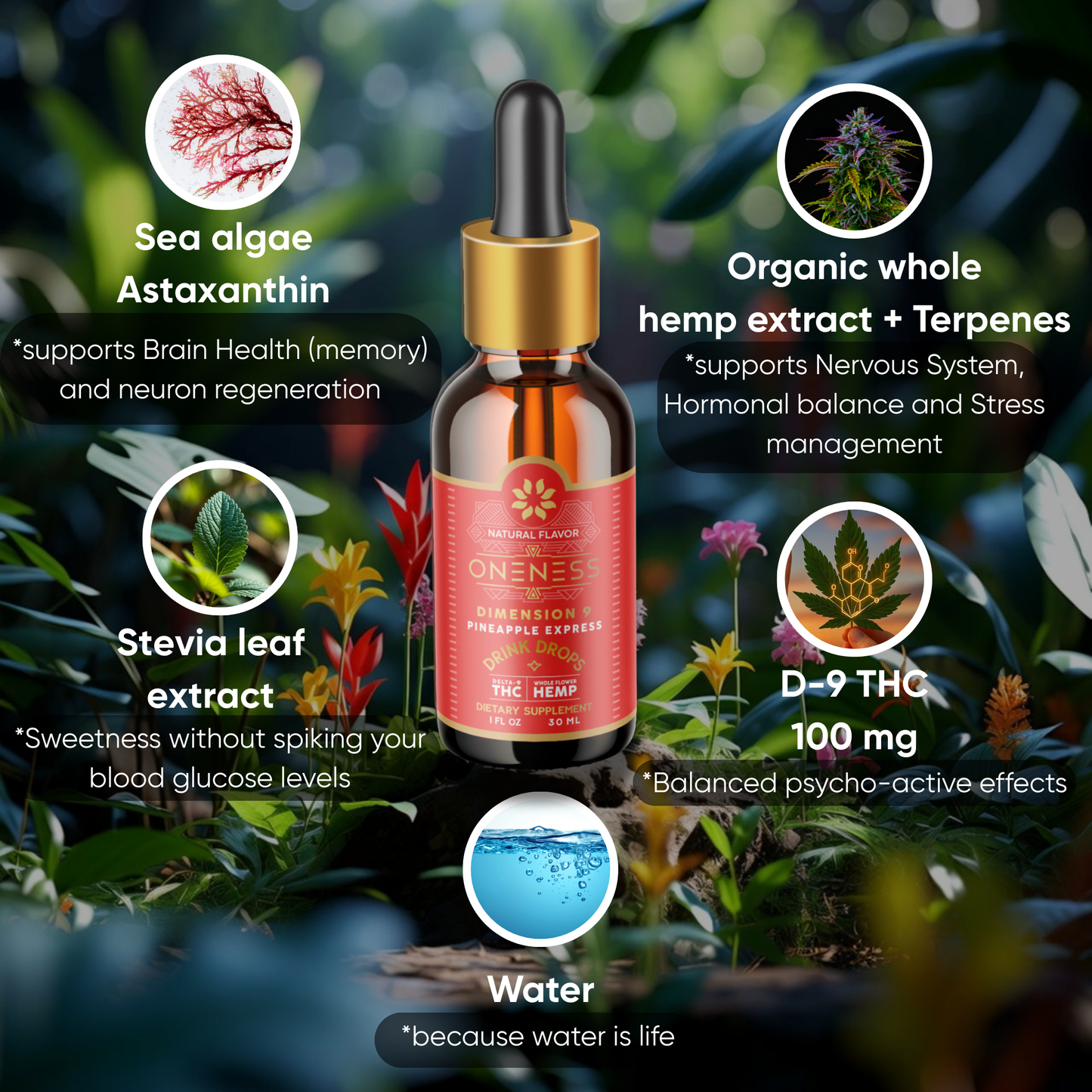 
                  
                    Pineapple Express THC Drops |  Fast-Acting Water Soluble Organic Hemp + Antioxidant Blend
                  
                