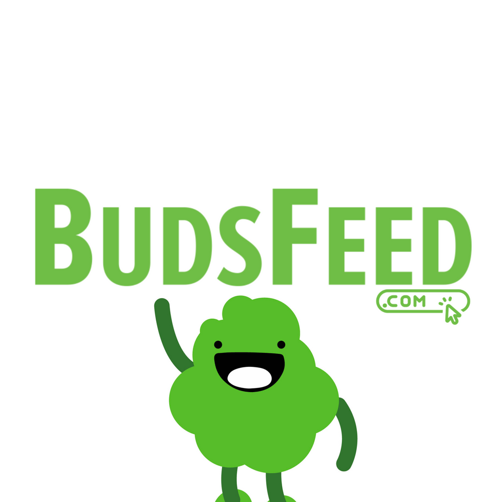 "Oneness's Sparkling Hemp beverages stand out in the landscape of CBD products for several reasons"